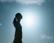 To understand life, don't look to the mind, look to the body, says researcher