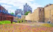 Tower of London moat to be refilled with water after 180 years