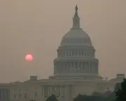 Trump Blames Canada for Wildfire Smoke Amid Climate Crisis
