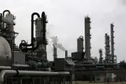 Trump officials accused of stacking chemical safety board with industry allies