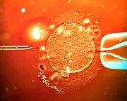 UK couple's twins conceived with wrong sperm by Sri Lanka surrogacy agency