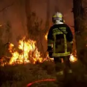 UK faces fourth heatwave but experts downplay wildfire risk compared to France