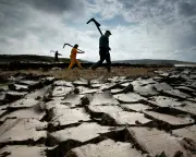 UK gardeners still use peat despite climate damage: campaigners push for ban