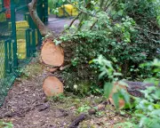 UK Government Accused of Allowing Developers to Bypass Nature Laws for £1
