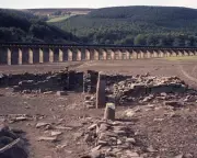 UK Heatwave 1976: Memories of Drought, Ladybirds, and Sunstroke