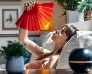 UK heatwave fuels air conditioning scams with fake Aldi websites