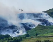UK media coverage of June heatwave largely ignored climate crisis, analysis finds