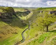 UK nature restoration plan branded 'pathetic' and 'completely insufficient'