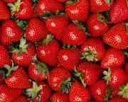 UK Strawberries Sweeter and More Abundant This Summer, RHS Says