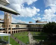 UNSW academic faced Nazi salutes in class, antisemitism commission told