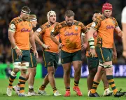 Wallabies' Test Loss to France Highlights Persistent Gap Under Schmidt