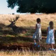 Warning after children seen petting deer in London's Richmond Park