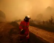 Why Europe's Wildfires Are So Fierce: Drought, Heat, and Wind Fuel Blazes
