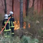Wildfires 9 miles from Bordeaux; next 24 hours 'crucial', Macron calls emergency meeting
