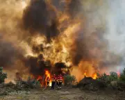 Wildfires Force Mass Evacuations Across Southern Europe: Share Your Story