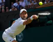 Wimbledon 2026: Djokovic, Sabalenka, Sinner, Gauff, Osaka in Action