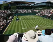 Wimbledon Stars Fuel on Trout Sushi and Coffee Kombucha for Gut Health