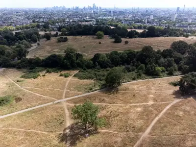 Amber heat alerts for London as temps to hit mid-30Cs again