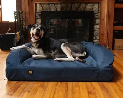 Best dog beds 2026: 7 pup-tested picks for every need