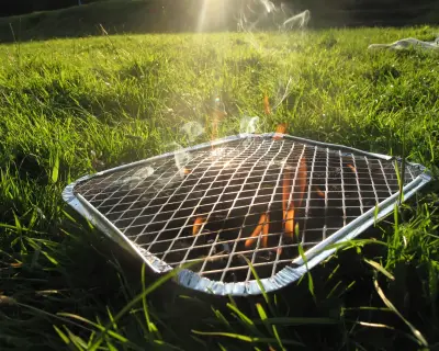 Burnham urges ban on disposable barbecues to prevent wildfires