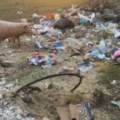 Career criminal avoids jail for industrial-scale fly-tipping in Kent