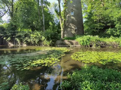 Crane Park: From 'Most Depressing Bench' to Thriving Wildlife Haven