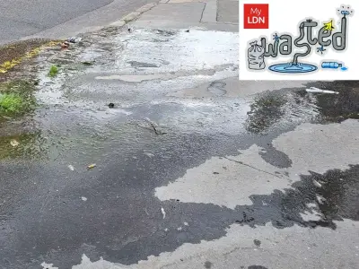 Croydon water leaks 'flowing all summer' as London suffers drought