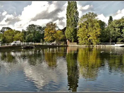Drought Restrictions Threaten Carshalton Ponds Wildlife