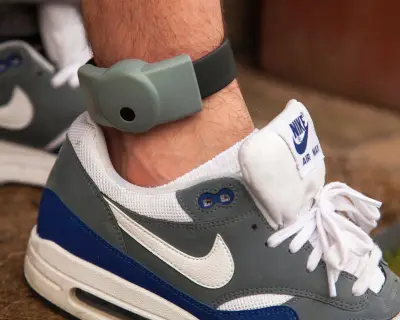 Electronic tagging system failing to alert authorities to probation breaches, watchdog warns