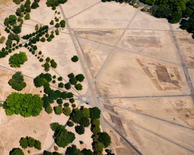 England's Climate Shift Demands New Planting Strategies