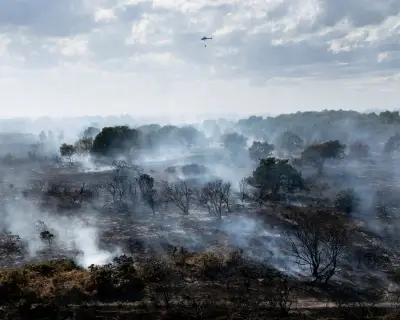 Farmers and MPs call for disposable barbecue ban over wildfire risk
