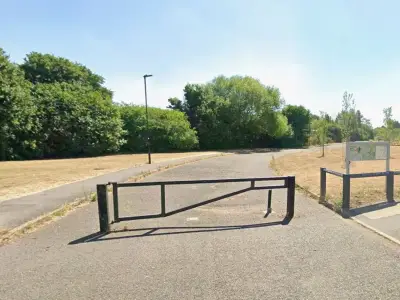 Feltham murder probe after human bones found in woodland