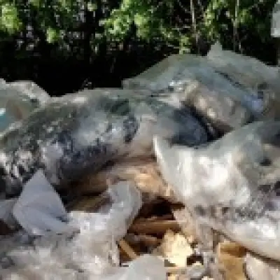 Fly-tipping firm caught via pizza receipt in dumped waste