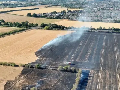 Havering Council scraps climate emergency amid hottest UK summer