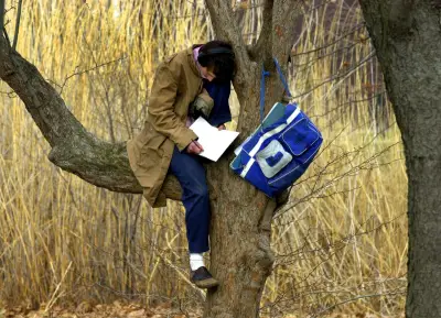 MFA Programs: Do They Breed Elitist Literature or Nurture Writers?