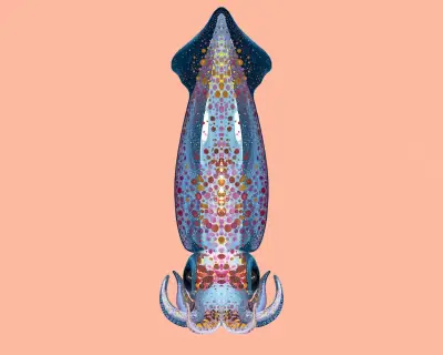 Neon Flying Squid Glide in Formation Above Pacific, Study Reveals