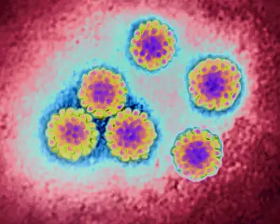 NHS to send free cervical cancer home-testing kits to millions