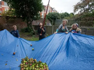 North London group saves three tonnes of fruit from private gardens