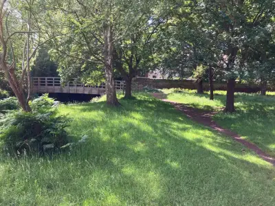 Richmond Park river restoration approved to boost wildlife