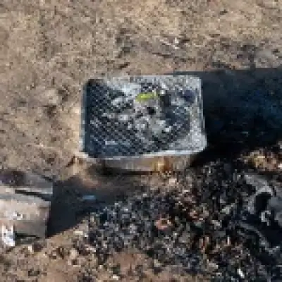Temporary Ban on Disposable Barbecues Amid UK Heatwave