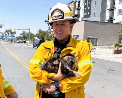 Toast the cat survives Utah apartment fire by hiding in closet for days