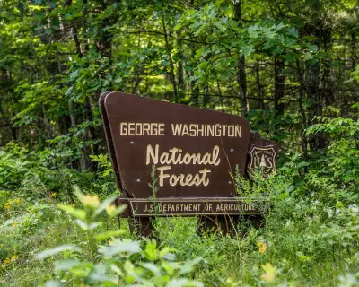 Trump administration moves to scrap roadless rule for national forests