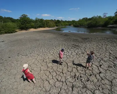 UK braces for fifth heatwave as Cobra meeting called