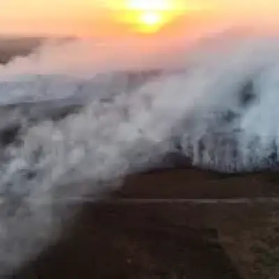 UK heatwave triggers health alerts as New Forest fire rages on