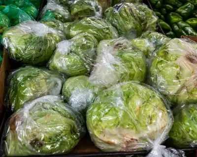 US Food Traceability Rule Delayed to 2028 After 15 Years