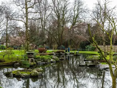 West London residents fear Christmas lights too bright in Holland Park