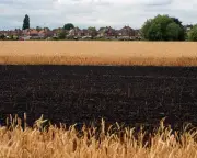 10 climate crisis policies for UK government: Burnham urged to act