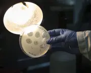 AI-Designed Viruses Created, Raising Biosecurity Fears