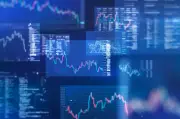 AI-Led Market Bloodbath: Which Hedge Funds Survived?