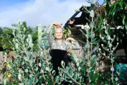 Australian Photography Awards 2026: Winners and Highlights
